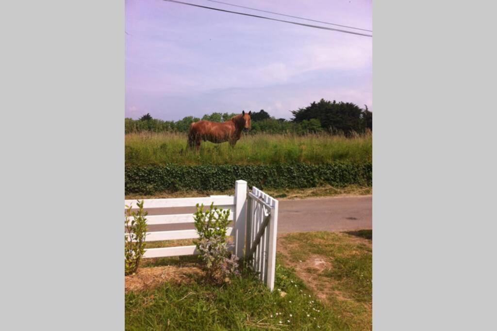 Detached House Near Beaches Esquibien エクステリア 写真